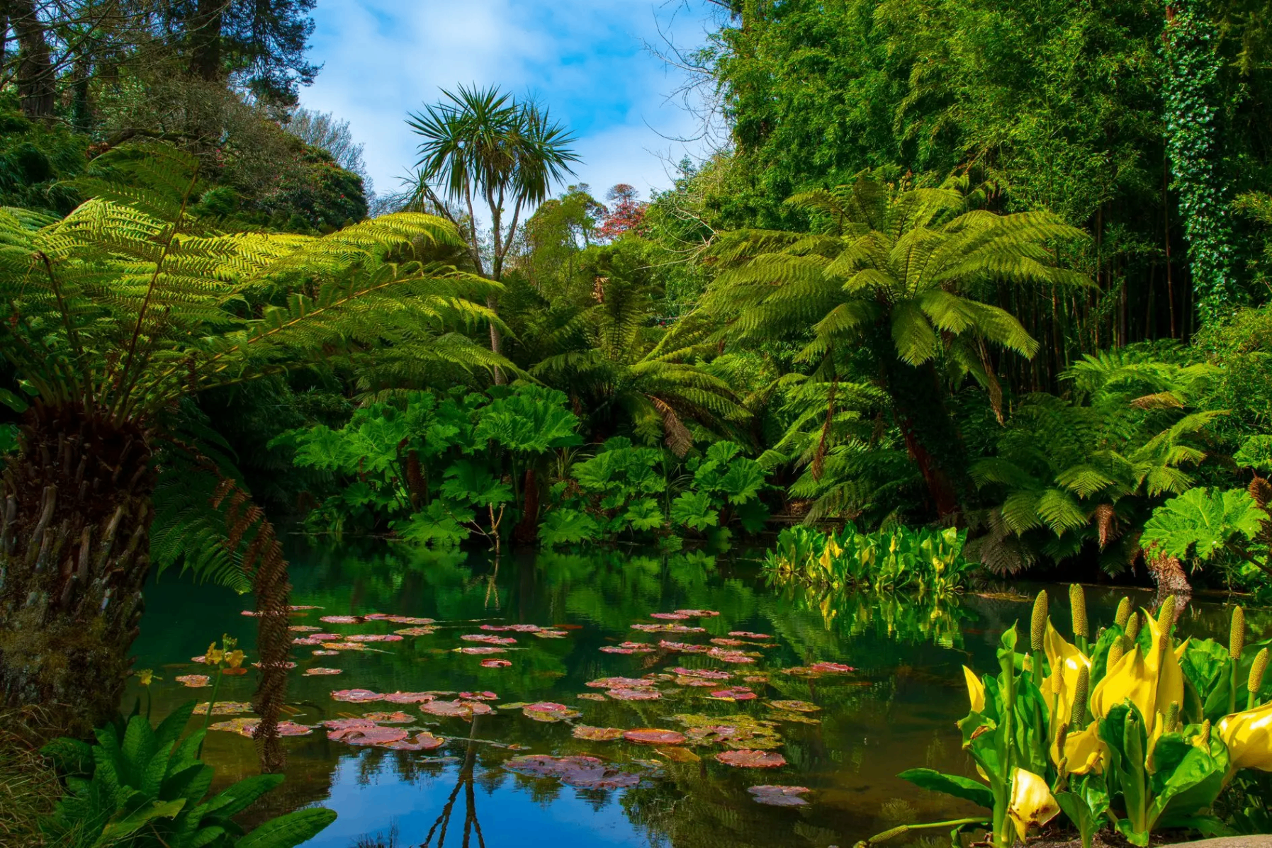 The Lost Gardens of Heligan